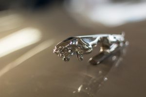 ピカ☆ピカ☆にしますよ！！