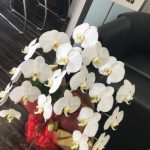 お花有難う御座います!!