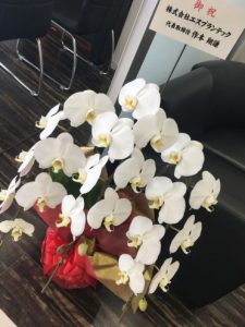 お花有難う御座います！！