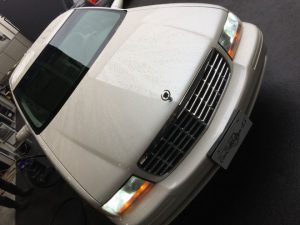 今週も始まりました～(｀・ω・´)ゞ