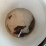 GW後半みなさまいかがお過ごしですかか~？？