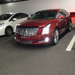 本日も天候不良からのｽﾀｰﾄですっ