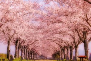 ゴールデンウィークも目前ですね！！