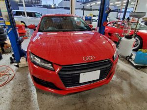 ジメジメした毎日が続いておりますね(;^ω^)