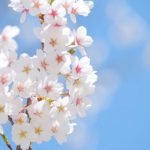 新学期の始まりですね⭐︎