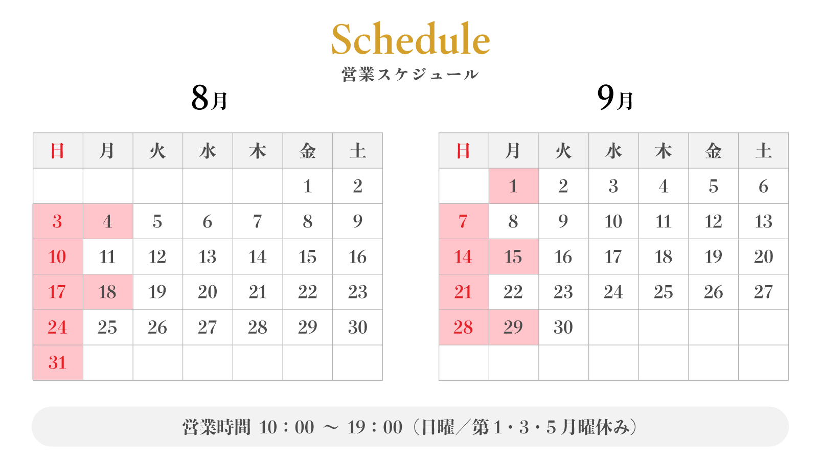スケジュール
