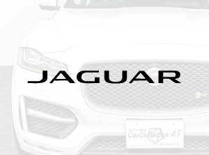 JAGUAR