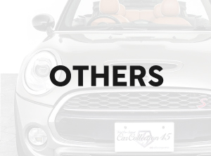 OTHERS